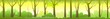 Forest landscape. Dense wild trees with tall, branched trunks. Summer green landscape. Flat design. Cartoon style. Vector