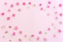 Top View Image Of Pink Flowers Composition Over Pastel Background .Flat Lay