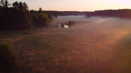 Wall Mural - Beautiful foggy morning in the countryside. Aerial footage of calm meadow in morning mist lit by a rising sun