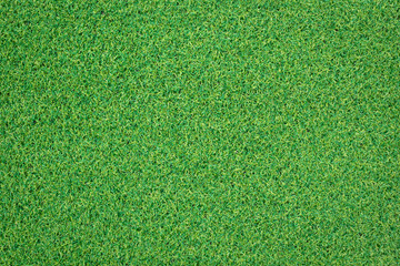 Canvas Print - top view artificial green grass texture for background