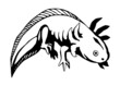 axolotl tattoo vector