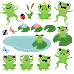 green frogs on a white background