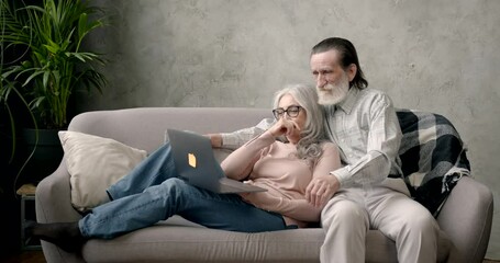 Wall Mural - Senior couple sitting on couch with laptop