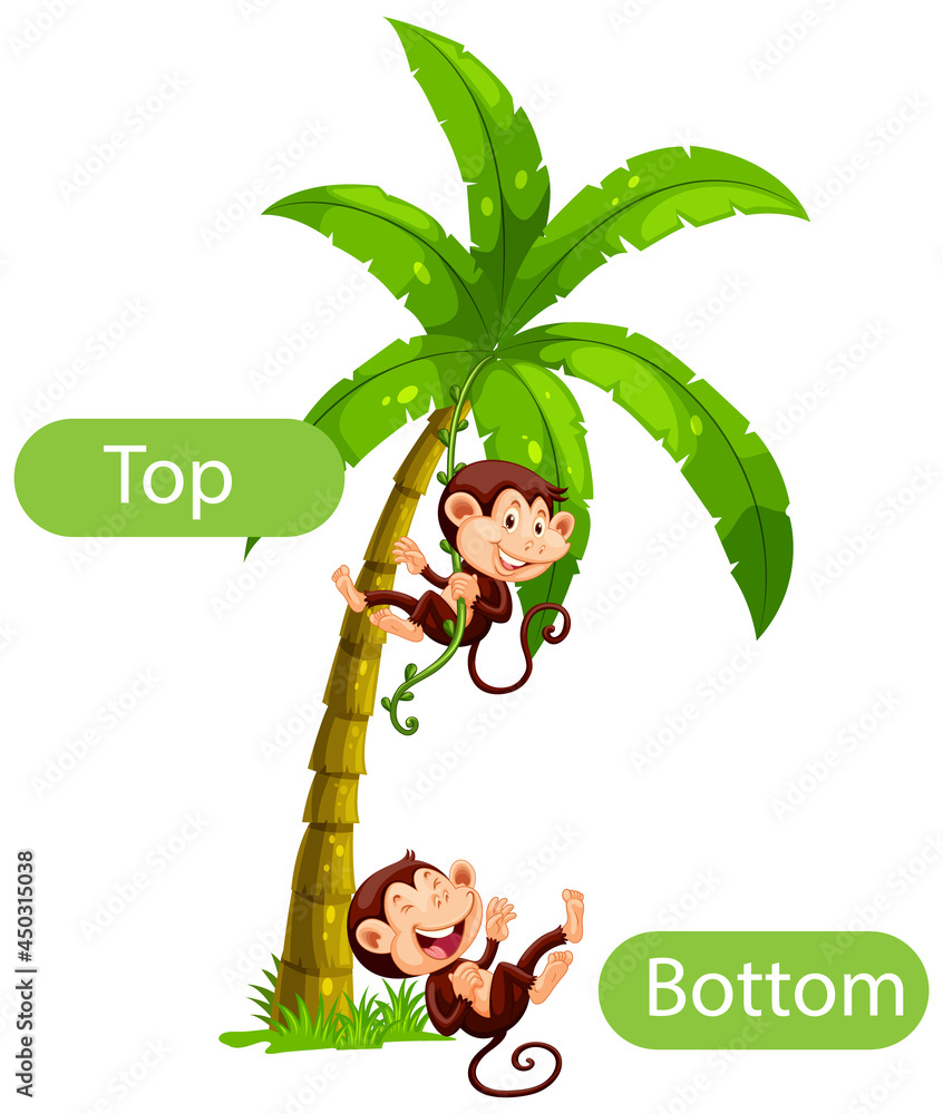 Top Opposit Opposite words with top and bottom Stock Vector | Adobe Stock