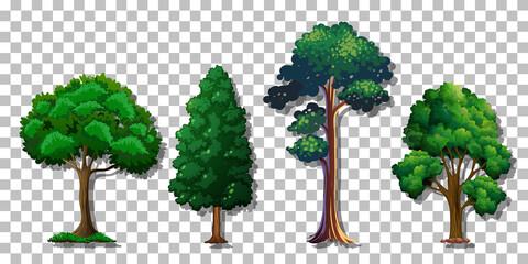 set of various trees on transparent background