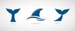 Whale, shark, fish tale vector icon. Fin of the fish illustrattion.