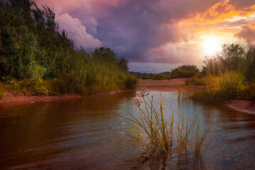 Wall Mural - beautiful summer evening landscape with a lake at sunset