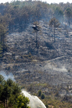 Black Hawk Uh 60 Helicopter Rescue Team Approach Landing In Forest Fire