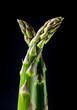 Jiant asparagus isolated on black