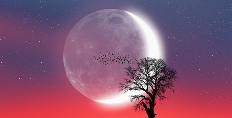 Aufkleber - Silhouette of birds with lone tree in the background big crescent moon at amazing sunset 