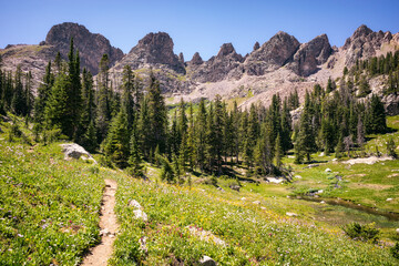 Eagles Nest Wilderness, Colorado, USA