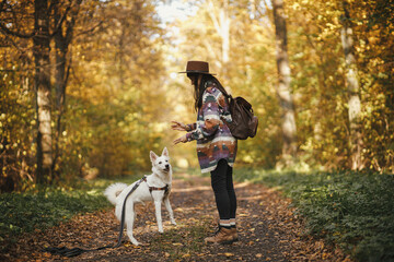 Sticker - Stylish woman in hat with backpack playing with funny cute dog in sunny autumn woods. Young female hipster training swiss shepherd white dog. Travel and hiking with pet. Teamwork