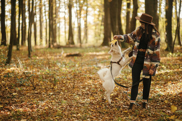 Sticker - Stylish woman playing with cute dog with yellow leaf in sunny autumn woods. Young female traveler and swiss shepherd white dog jumping in beautiful forest. Training with pet