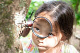 Fototapeta Desenie - カブト虫を虫眼鏡で見る少女