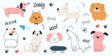 Fototapeta Fototapety na ścianę do pokoju dziecięcego - Cute dogs watercolor doodle vector set. Cartoon dog or puppy characters design collection with flat color in different poses. Set of purebred pet animals isolated on white background.