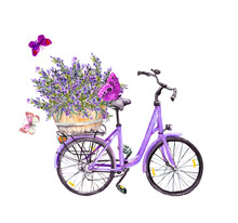 Violet Bicycle, Lavender Flowers Bouquet In Basket And Butterflies. Watercolor