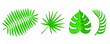 © Анна Кулик - Monstera and palm leaves vector. Illustration for printing, greeting cards, posters, stickers, textile, wallpaper, curtains, room decoration, seasonal design. Isolated on white background.