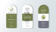 Vector vintage template label with olive branch. Organic plants sketch background. Set vector illustration for olive oil packaging.