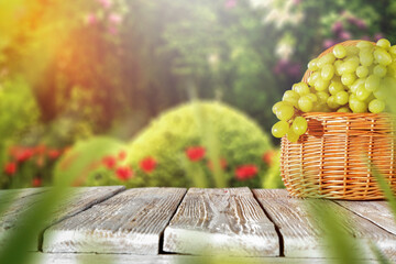 Wall Mural - Grapes on a white board on an autumn day 