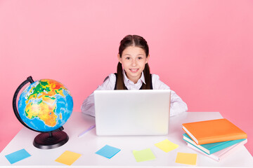 Poster - Photo portrait little girl with tails sitting at desk using laptop doing homework isolated pastel pink color background