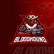 Apex gaming character mascot design of bloodhound. mascot logo for esport, gaming, team