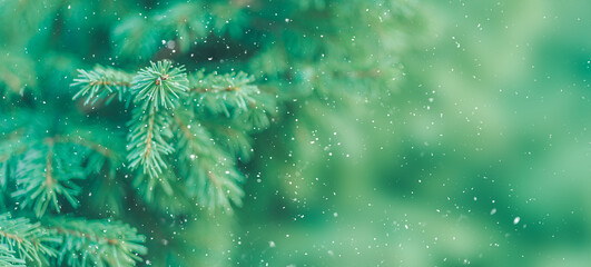 Wall Mural - christmas tree background with falling snow