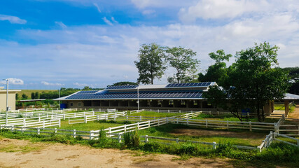 Wall Mural - solar cell panels technology on roof top of farm in blue sky for alternative electricity generating 