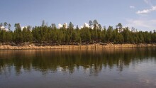 Treeline Of The Water Bank At Willow Spring In Arizona, USA Southwest.