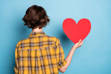 Rear Back View Photo Of Lady Demonstrate Red Paper Heart Card Wear Checkered Shirt Isolated Blue Color Background