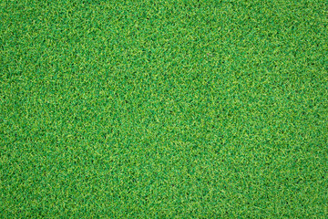 Canvas Print - top view artificial green grass texture for background