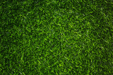 Canvas Print - top view artificial green grass texture for background