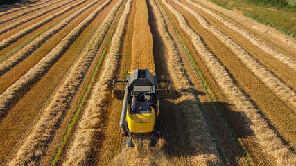 Canvas Print - High angle shot of a tractor working in an agricultural field during daylight