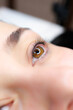 © Roman - close-up of the model's eye with a curl of cilia the work is done lamination of eyelashes the master combs the cilia with a brush