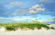 Beautiful White Sand Florida Beach With Sea Oats On A Cloudy Morning