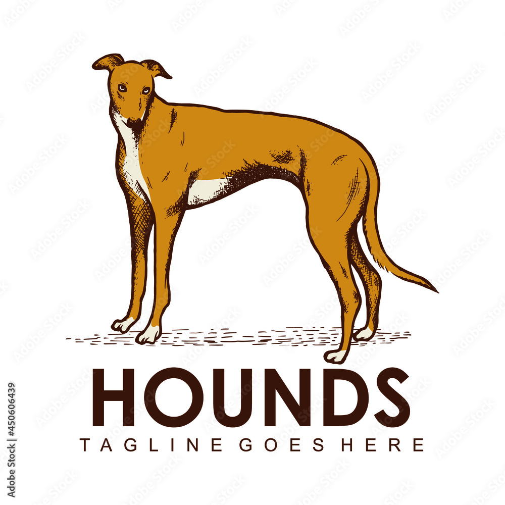 Hound Logo Vector Template, Design element for logo, poster, card ...