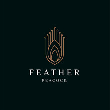 Peacock Feather Elegant Gold Logo Icon Design Template Flat Vector Illustration
