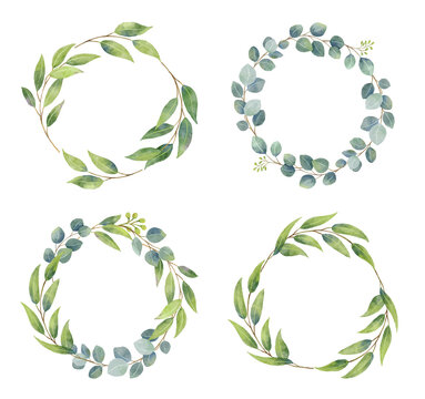 Eucalyptus branches wreaths with watercolor style.  Wedding greenery in circle decorative design elements.