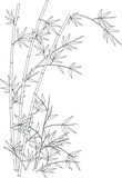 Fototapeta Sypialnia - simple vector bamboo tree. Flat line design. Set of elegant floral elements for graphic and web design. Decorative vintage line elements collection. Vector illustration