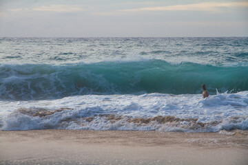 Wall Mural - bodysurfer at the beach catching waves