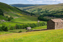 Traditional Dry-stone Wall And Stone Barns In The Countryside Of The Yorkshire Dales - England