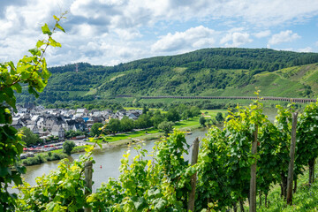 Poster - Pünderich an der Mosel