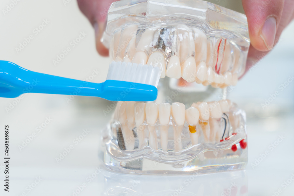 The dentist shows how to brush your teeth with a toothbrush on the ...