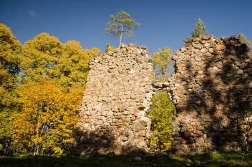 Poster - Tervete castle ruins on a sunny autumn day, Latvia.