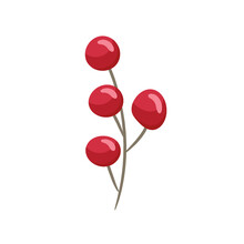 Hand Drawn Branch With Red Berries