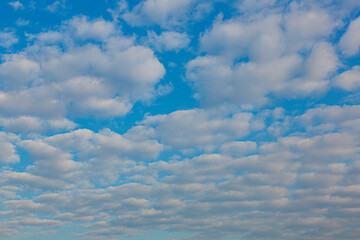 Wall Mural - Image of colorful evening sky with light clouds