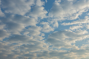 Wall Mural - Image of colorful evening sky with light clouds