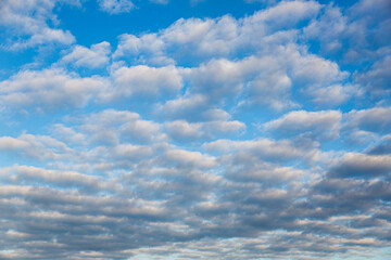 Wall Mural - Image of colorful evening sky with light clouds