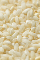 Sticker - Raw White Organic Arborio Rice