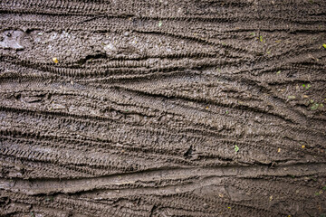 Bicycle tyre tracks in mud