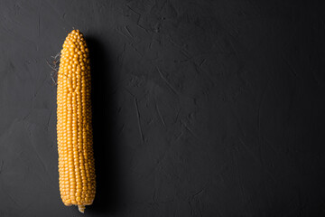 Wall Mural - Peeled raw corn on a gray concrete background. Place for your text.